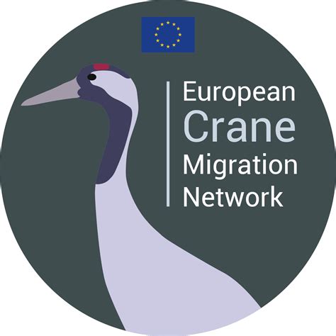 Kraanvogel... - Kraanvogeltrek over België en Nederland - ECMN